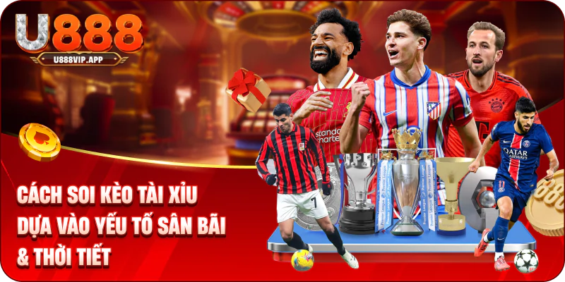 Cách soi kèo tài xỉu dựa vào yếu tố sân bãi & thời tiết